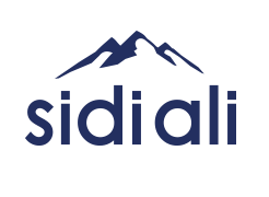 Sidi Ali